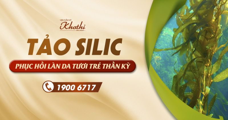 Trẻ hóa xóa nhăn với tảo silic